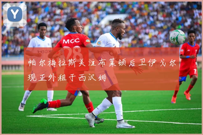 帕尔梅拉斯关注布莱顿后卫伊戈尔现正外租于西汉姆